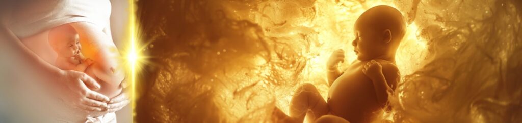 Divine Womb Energy by Swami Keshvananda
