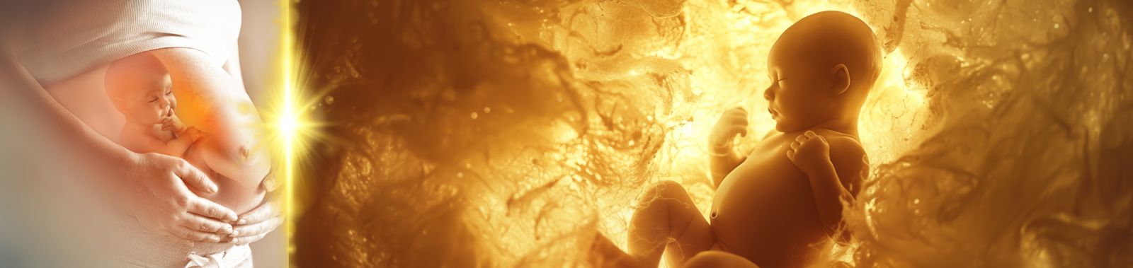 Divine Womb Energy by Swami Keshvananda