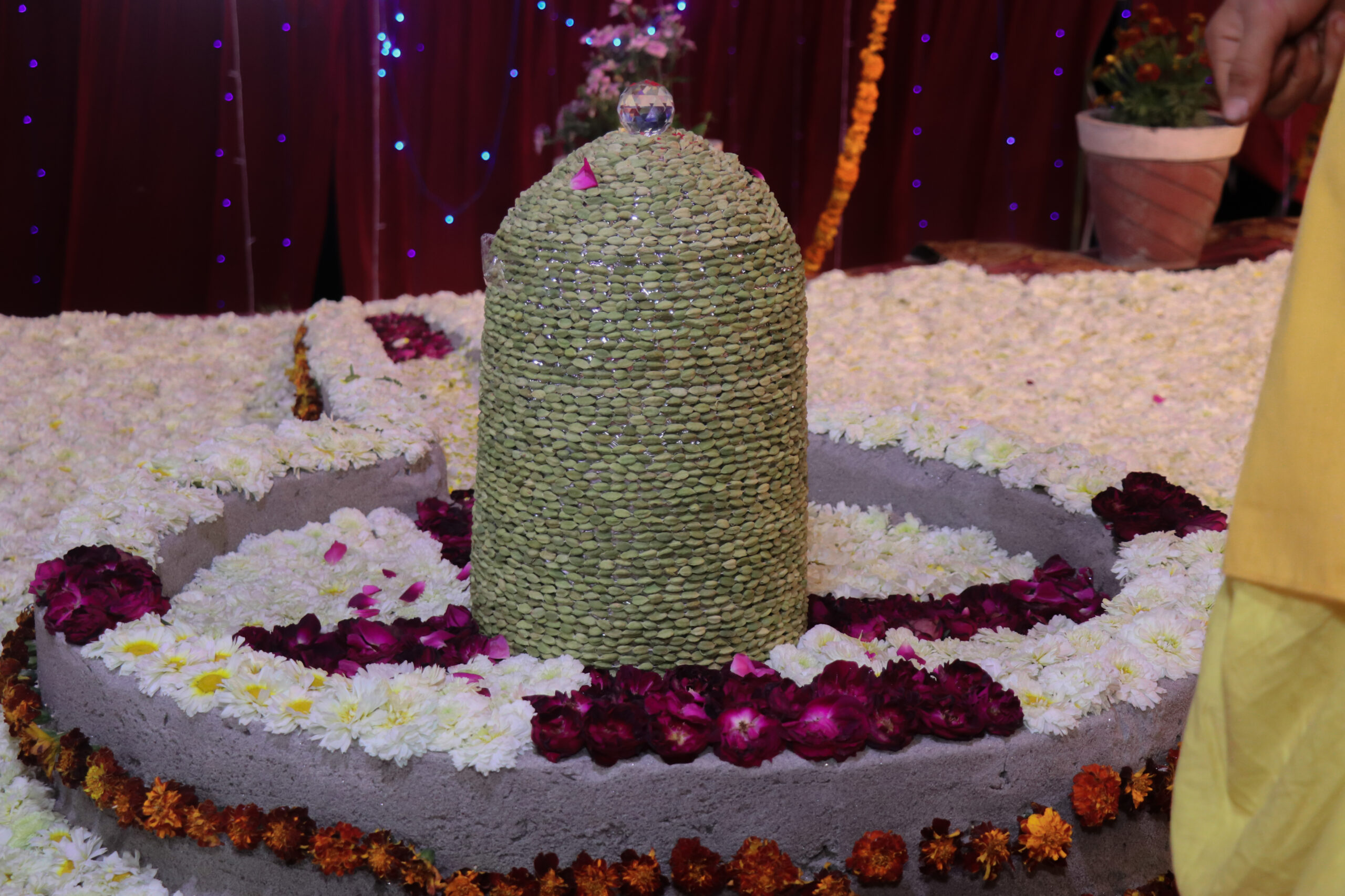 Swami Keshvananda MahaShivratri Parthiv Shivling Haridwar